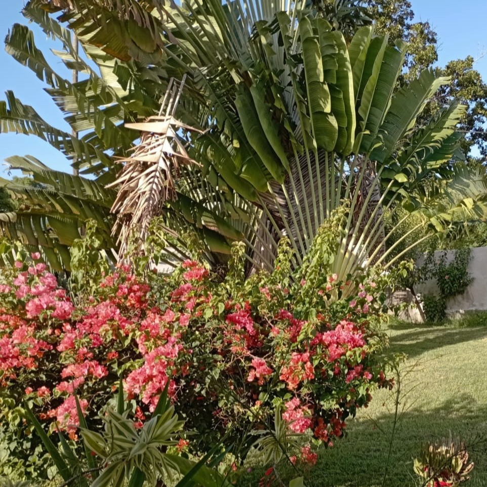 Photo de Patrice Christian Louis PERRIN